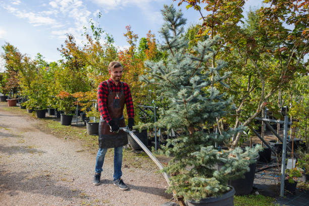 Mulching Services in South Dos Palos, CA